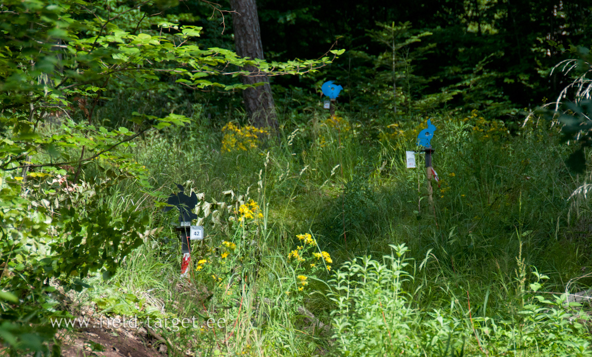 Blue Targets are for Category 1 and 2